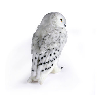 Harry Potter - Magical Creatures - Hedwig de Sneeuwuil - 30cm Foto 3